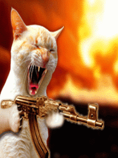 animaciya 240 320 Humor 12853.gif